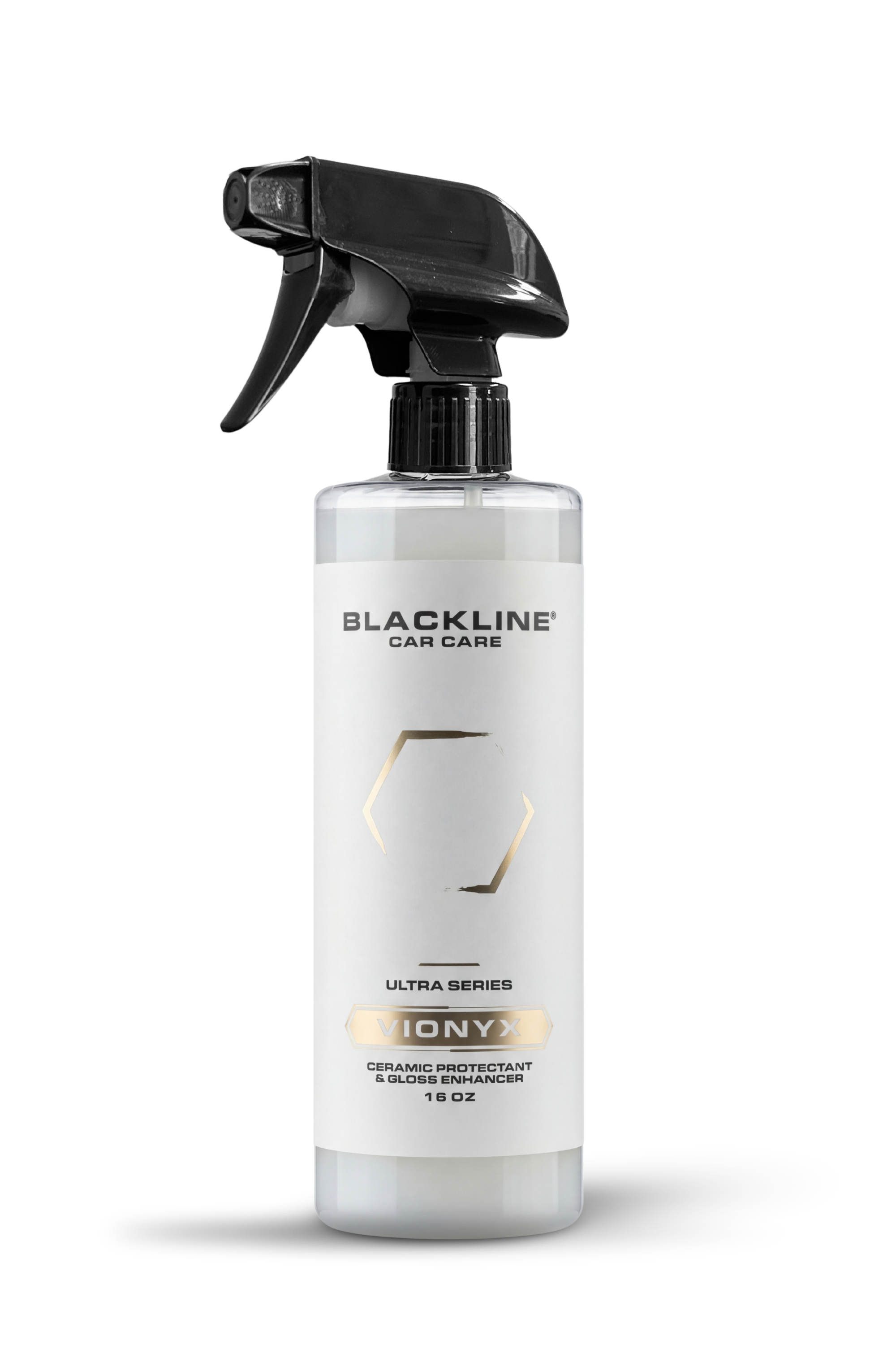 【美品】BLACKLION × LIVRE Cachalot un BLACKLINE® VIONYX CERAMIC PROTECTANT