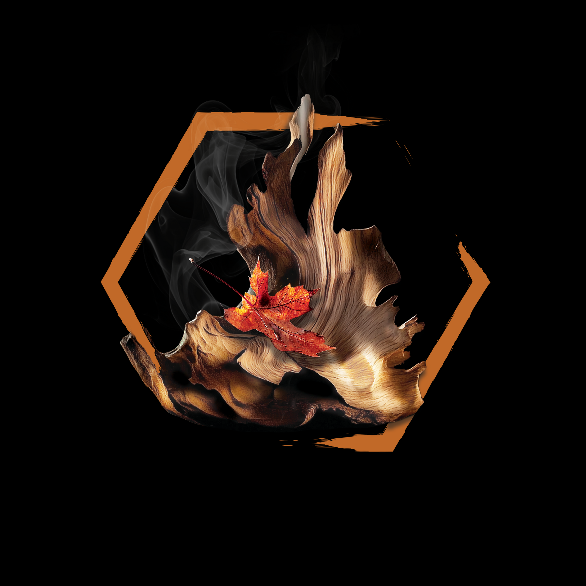 🎁 BLACKLINE® MYSTERY GIFT