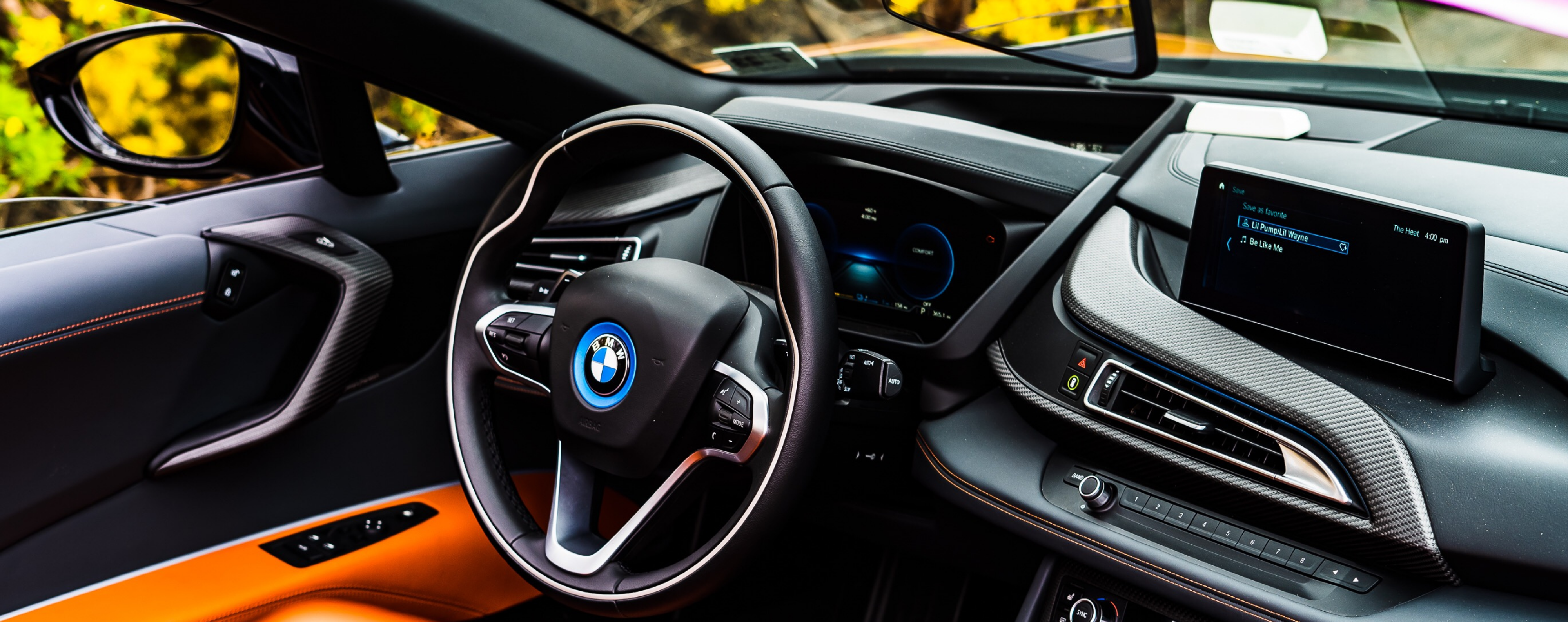 Best Interior Dressings And Protectants