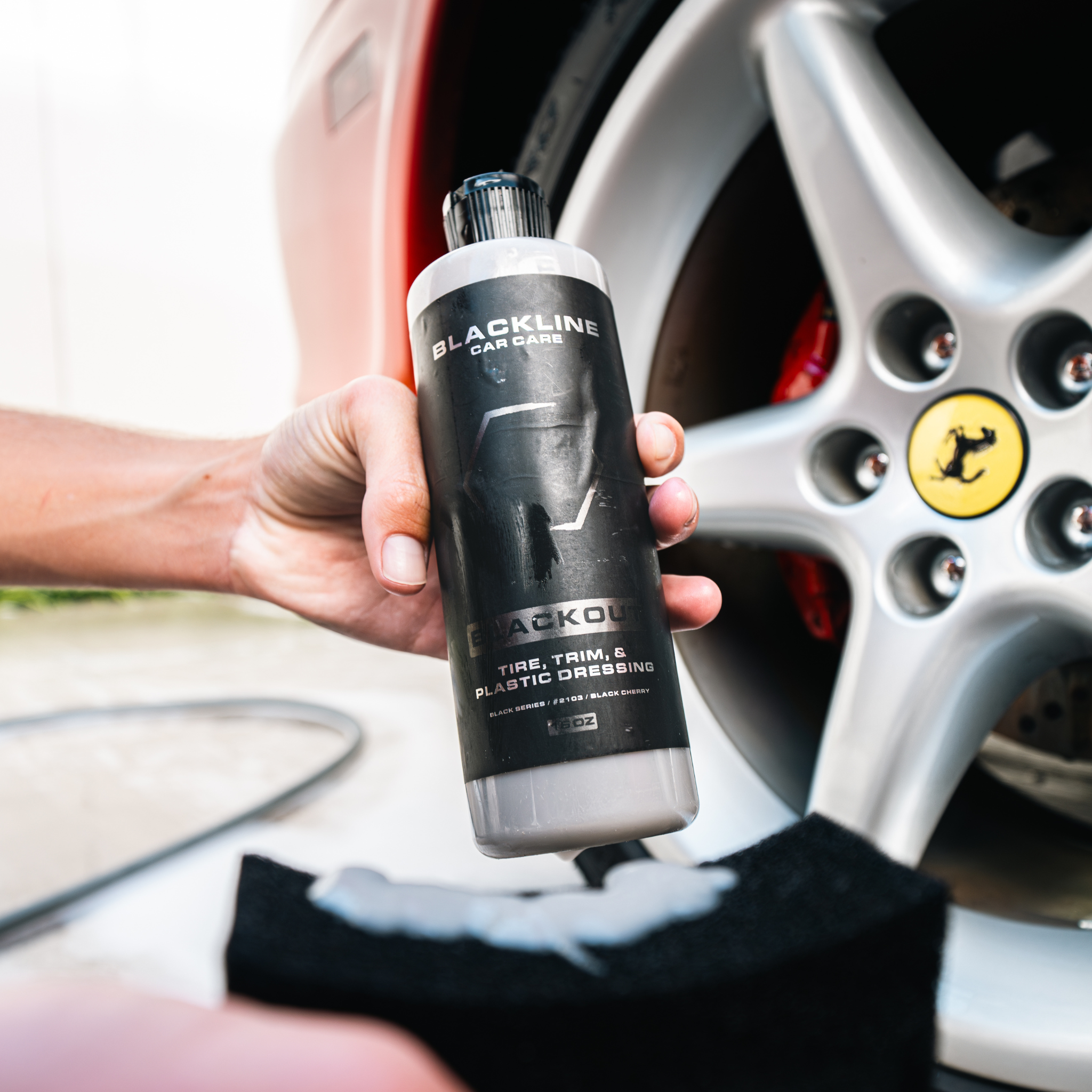 BLACKLINE® BLACKOUT TRIM & TIRE DRESSING